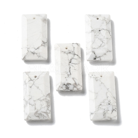 Natural Howlite Pendants G-G063-01H-1