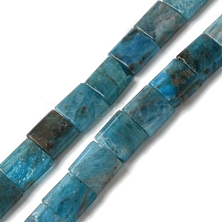 Natural Apatite Beads Strands G-F762-A19-01-1