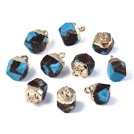 Assembled Synthetic Bronzite and Turquoise Charms G-N330-47C-1