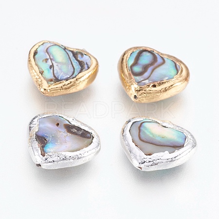 Natural Abalone Shell/Paua Shell Beads G-O168-16-1