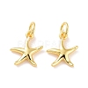 Brass Charms X-KK-G418-22G-1