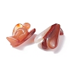 Natural Red Agate Home Display Decorations DJEW-L009A-03-8