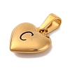 304 Stainless Steel Pendants STAS-P278-01C-G-1-2
