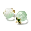Glass Pendants GLAA-P072-05G-07-2