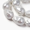 Shell Pearl Beads Strands BSHE-F013-13-2