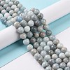 Natural Aquamarine Beads Strands G-F641-02-10mm-01A-4