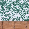 MIYUKI Delica Beads SEED-J020-DB0656-4