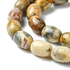 Barrel Shaped Gemstone Natural Crazy Lace Agate Beads Strands X-G-S114-08-5
