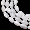Natural Freshwater Shell Beads Strands SH-CBA2978-11-2