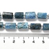 Natural Apatite Beads Strands G-N327-06-27-5