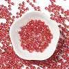 Glass Seed Beads SEED-H002-A-A618-2