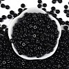 Transparent Colours Glass Seed Beads SEED-P008-01A-02-3
