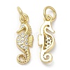 Brass Micro Pave Cubic Zirconia Pendants KK-Q775-04G-1