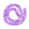 Freshwater Shell Beads Strands SHEL-S276-31E-2