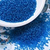 MIYUKI Round Rocailles Beads SEED-G007-RR0149F-1