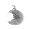 Natural Labradorite Pendants G-Z022-04L-2