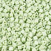 FGB Baking Paint Glass Seed Beads SEED-Q040-09A-10-3