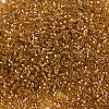 MIYUKI Delica Beads SEED-MY11-DB0065-3