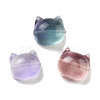 Natural Fluorite Beads G-H007-03C-1