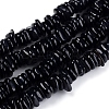 Natural Freshwater Shell Beads Strands SHEL-D078-01A-1