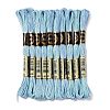 10 Skeins 6-Ply Polyester Embroidery Floss OCOR-K006-A11-1