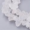 Natural Quartz Crystal Beads Strands G-F336-02-1