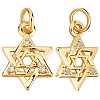 16Pcs Brass Micro Pave Clear Cubic Zirconia Charms KK-BBC0015-88-1