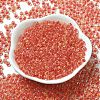 Transparent Glass Round Seed Beads X1-SEED-B001-05A-24-2
