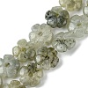 Natural Labradorite Beads Strands G-H023-B19-01-1