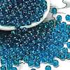 Transparent Colours Glass Seed Beads SEED-C001-02A-05-1