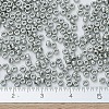 MIYUKI Round Rocailles Beads SEED-X0054-RR0194-4