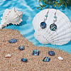 8Pcs 4 Styles 304 Stainless Steel Pave Natural Paua Shell Pendants STAS-UN0063-81-2