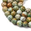 Natural Peruvian Turquoise(Jasper) Beads Strands G-T150-A01-8mm-3
