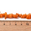 Natural Freshwater Shell Beads Strands BSHE-I016-01C-2