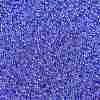 MIYUKI Round Rocailles Beads X-SEED-G009-RR0175-2