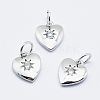 Brass Micro Pave Cubic Zirconia Charms LS-RB-I078-67P-NR-1