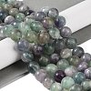 Natural Fluorite Beads Strands G-P530-B04-05-2