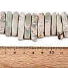 Natural Variscite Beads Strands G-Q616-06E-4