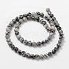 Gemstone Beads Strands G285-3