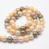 Shell Pearl Bead Strands LS-BSHE-L017-12-2