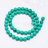 Natural Magnesite Beads Strand TURQ-G096-10mm-2