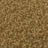 MIYUKI Delica Beads SEED-X0054-DB0771-3