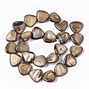 Freshwater Shell Beads Strands X-SHEL-T014-003-2