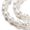 Grade B Natural Cultured Freshwater Pearl Beads Strands X-SPRB008Y-1-3