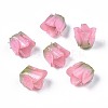 Plastic Beads LS-KY-N015-037F-1