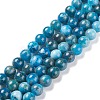 Natural Apatite Beads Strands G-F617-01-6mm-3