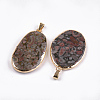 Golden Plated Natural Fossil Pendants G-S278-53-2