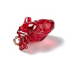 Transparent Resin Pendants LS-RESI-E028-01G-01-3