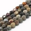 Natural Ocean Jasper Beads Strands G-R448-6mm-11-1