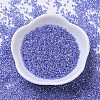 MIYUKI Delica Beads X-SEED-J020-DB0243-2